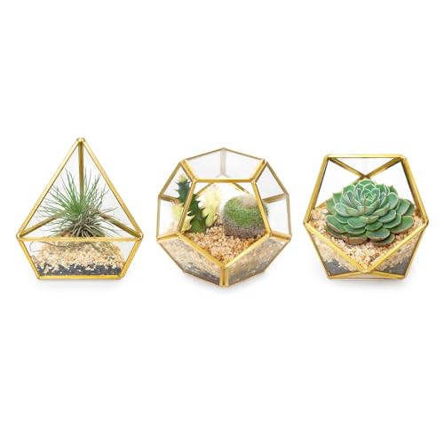 Mkono 4 Inches Mini Glass Geometric Terrarium Container Set of 3 Modern Tabletop Planter Shelves Decor Display Centerpiece for Succulent Miniature Fairy Garden Air Plant, Gold (Plant Not Included) - color: Gold
