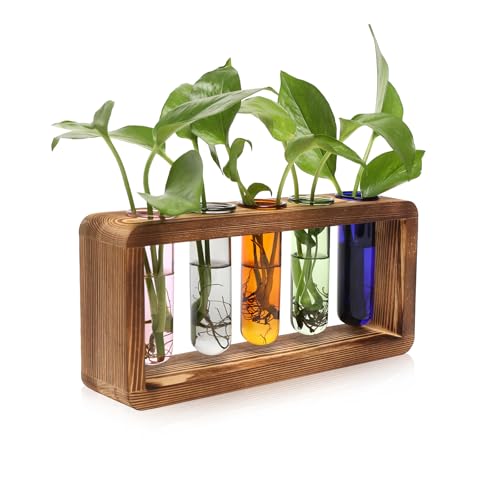 Glass Plant Propagation Station with 5 Test Tubes Colorful Planter Vase Birthday Gifts for Women in Wooden Stand - color: Color-01
