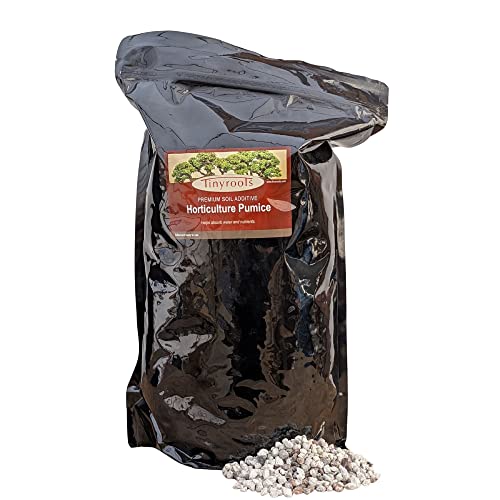Tinyroots Horticultural Pumice Soil Additive - Succulents, Cactus, Bonsai & Other Plants - 100% Pure Volcanic Rocks + 1/4 inch Soil Additive, No Artificial Coloring, No Dyes, No Chemicals (2.5 Gallon) - size: 2.5 Gallon