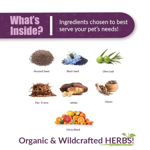 AMBER NATURALZ Reptaid Herbal Supplement for Small Reptiles | Herbal Pet Supplement for Immune Support | for Reptiles Under 250g | 1 Fluid Ounce Glass Bottle | Manufactured in the USA - size: 1 oz