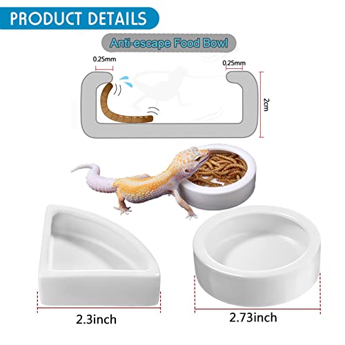 Woyrise 5Pcs Reptile Feeding Kit, 3Pcs Stainless Steel Feeding Tongs, Rubber Tipped Soft Tweezers, Bug Feeder Cricket Clamp, 2Pcs Reptile Food Dish Water Bowl for Reptiles,Gecko,Bearded Dragon, Spider