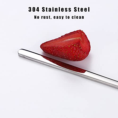 2Pcs Reptile Powder Fruit Mixing Stirring Food Feeding Spoon fit Crested Gecko Gargoyle Bearded Dragon - size: 0.5 Ounce (Pack of 2)