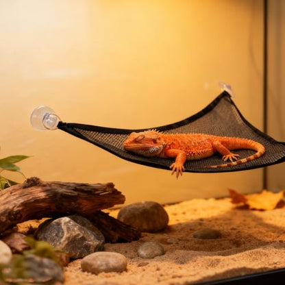Bearded Dragon Hammock, 2 Sets Breathable Reptile Mesh Hammock with Suction Cups, Reptile Accessories Hideout for Iguanas, Lizards, Geckos, Snakes, Chameleons (Black)