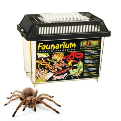 Exo Terra Faunarium Small PT2255 – Plastic Reptile Terrarium and Transport Container for Lizards, Spiders & Amphibians - size: Small