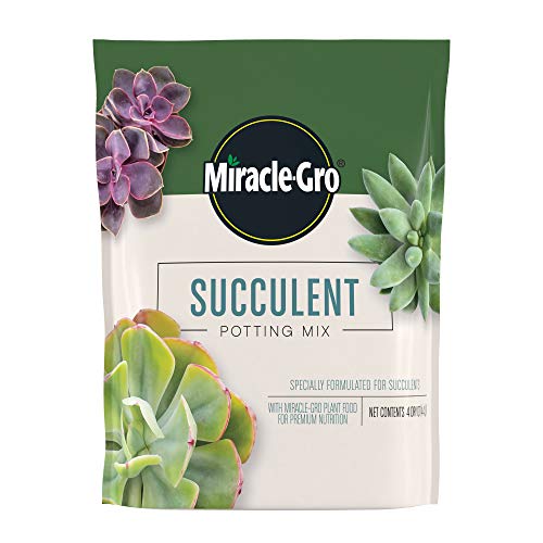 Miracle-Gro Succulent Potting Mix, 4 qt. | For Indoor Succulents, Aloe Vera and More, Made with Miracle-Gro Plant Food - size: 1 Pack, style: Succulent
