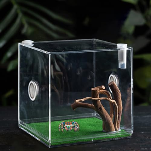 Reptile Growth Terrarium - Acrylic Jumping Spider Clear Container, Clearer View Small Pet Enclosure, Practical Convenient Spacious Habitat, Durable Housing Design Versatile Use | for Snails Lizards Be - color: Aqua