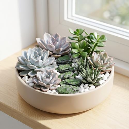 Miniature Moss Stones for Terrarium - Tree Bark Diorama Rocks for Miniature Terrain Display - Lightweight Reptile Habitat Decor - NOT for Aquarium Underwater Use - 12 Pcs Moss-Covered (1-2 inch) - style: 12P Moss Slate Rocks (Wooden)