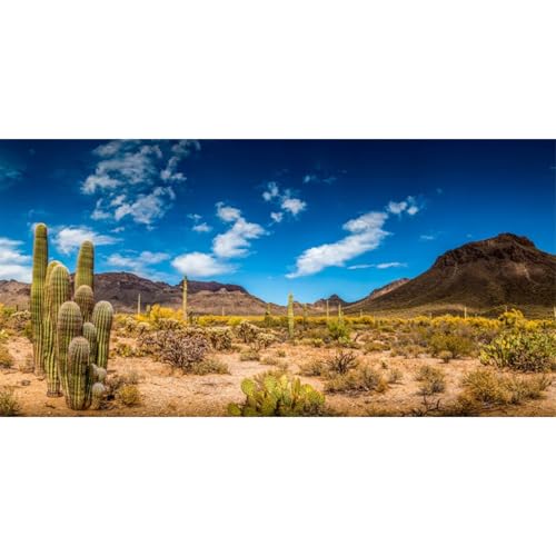 AWERT 72x16 inches Reptile Habitat Background Blue Sky Oasis Cactus Desert Terrarium Background Vinyl - size: 72x16in/180x40cm