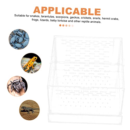 Clear Hatching Container with Lid for Spider Scorpion Reptile Breeding Box with Ventilation for Jumping Spider Transparent Terrarium