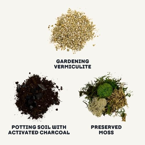 Cute Farms Terrarium Starter Kit | Moss, Vermiculite, Soil, Pebbles, Plant Food, Finishing Tools, Build and Care Guide | DIY Succulent Terrarium (Small) - size: Small Kit