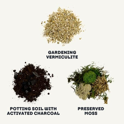 Cute Farms Terrarium Starter Kit | Moss, Vermiculite, Soil, Pebbles, Plant Food, Finishing Tools, Build and Care Guide | DIY Succulent Terrarium (Small) - size: Small Kit