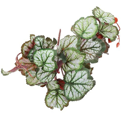 Ipetboom Suction Cups for Hanging Plants Reptile Plants Terrarium Plants Leaf for Reptile Terrarium Plants Indoor Reptile Tank Decor Plant for Reptile Terrarium Hanging Reptile Habitat