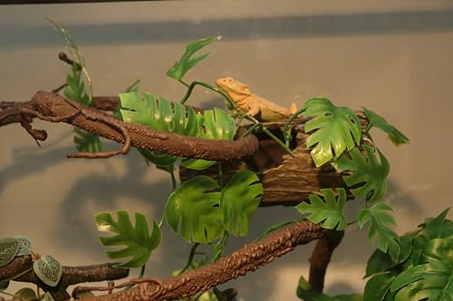 AQUA KT Reptile Twist Climber Flexible Climbing Vine Rain Forest Terrarium Branch for Leopard Gecko Lizard Snake Terrarium Amphibian Decoration