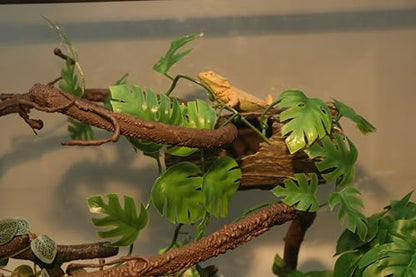 AQUA KT Reptile Twist Climber Flexible Climbing Vine Rain Forest Terrarium Branch for Leopard Gecko Lizard Snake Terrarium Amphibian Decoration