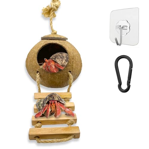 Hermit Crab, Hamster Coconut Cave Hide with Ladder, Reptile & Snake Natural Coco Shell Hut Hideout, Gerbils Mice Small Animals House Pet Cage Habitat Decor, with Sticky Wall Hook - style: Small
