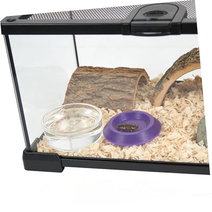 12pcs Small Animal Feeding Bowls Plastic Terrarium Food Dishes for Reptiles Frogs Lizards Roaches Enclosures