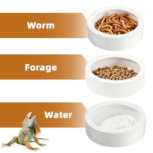 Escape-Proof Reptile Food Dish Bowl, Ceramic Reptile Feeding Dish & Small Animal Bowl for Lizard, Leopard Gecko, Hermit Crab, Hamster, Anti Escape Live Food & Water Dish (3x1in) - size: Medium-1Pack