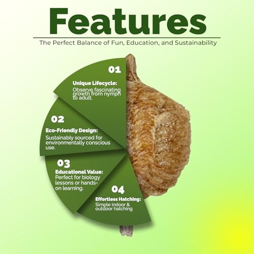 USMANTIS Praying Mantis Ootheca Egg Case (Ten Egg Case) - Beneficial for Stem Education and Gardening, Each Egg Case Produces Approximately up to 400 Baby Nymphs (T Sinensis) - size: Pack of 10