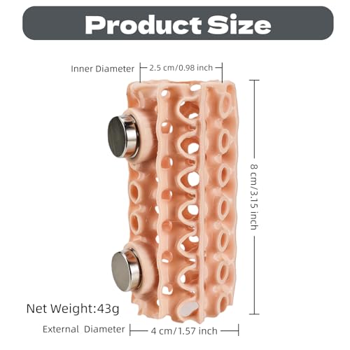 Jumping Spider Habitat - Magnetic Pet Hiding Shelter with Clear Climbing Walls, Secure Ventilated Design for Geckos, Frogs & Amphibians | Terrarium & Vivarium Decoration
