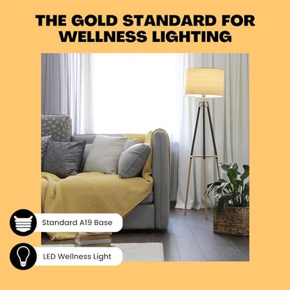 Norb NorbSMILE Soft Full Spectrum Light Bulb | US Patented | A19 LED Bulb & 11W 800 Lumens | 4000K Soft Daylight White, CRI 96 & Dimmable E26 Base | Supports Energy, Mood & Circadian Rhythm - style: Smile Soft 11W (1 Pack)