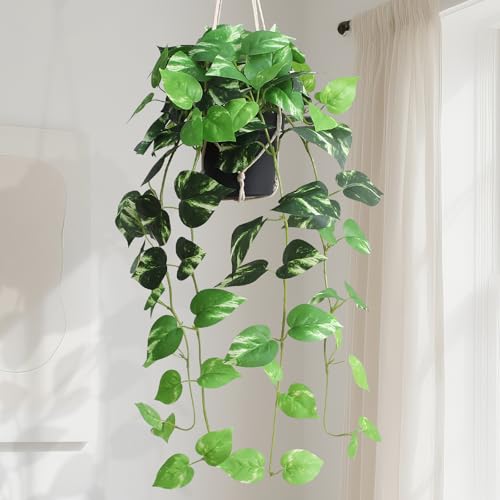 alyptus Fake Pothos Hanging Plants - Artificial Hanging Plant with Pot Realistic Faux Pothos Vines for Indoor Décor, Lush Greenery for Balcony Patio Office, Bathroom - Golden Green - color: Green and Golden