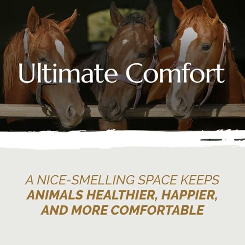 Aubiose French Hemp Bedding 44lb — Chicken Coop & Horse Stall Bedding | Ultra Low Dust Odor Control Deep Litter Ready | Premium Hemp Shavings for Chickens Horses Rabbits & Small Animals (Pack of 2) - size: Pack of 2