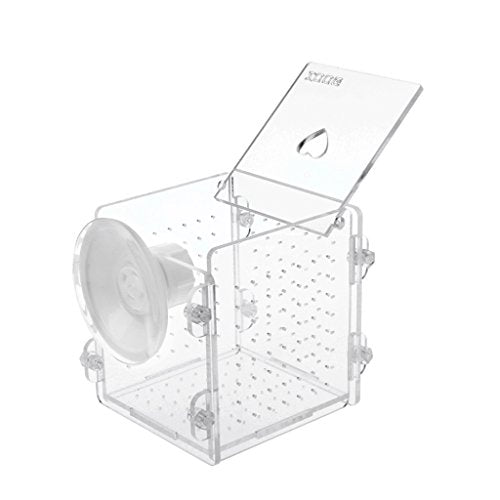 Fish for Hatchery Incubator Aquarium Breeding Box Acrylic Breeder Isolation Hatching Boxes with Suction Cup
