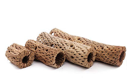 3, 6, 9, 12 Inch All Natural Teddy Bear Cholla Wood Extra Hollow Untreated Organic Aquarium Driftwood Decoration Chew Toy Shrimp Crab Cichlid Nano Tank Birds 1 or 5 Pieces (1 Piece, 12 inch) - size: 1 Piece, 12 inch