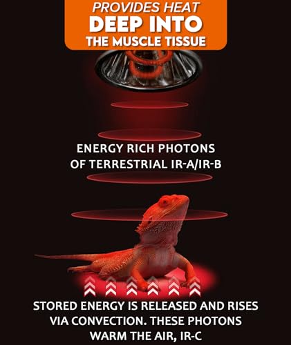 100W Deep Heat Infrared Projector Lamp for Reptiles, Emits both Infrared A & B Wavelengths, Reptiles Basking Light Heat Lamp Bulbs with Reflector for Bearded Dragons, Turtles, Snakes, Lizards, etc.