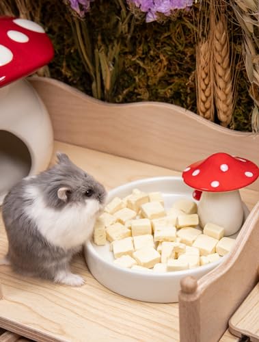 Niteangel Hamster Feeding & Water Bowls- Mushroom Ceramics Series Food Dish Feeding Bowls for Dwarf Syrian Hamsters Gerbils Mice Rats or Other Similar-Sized Small Pets (Feeding Bowl) - size: Feeding Bowl