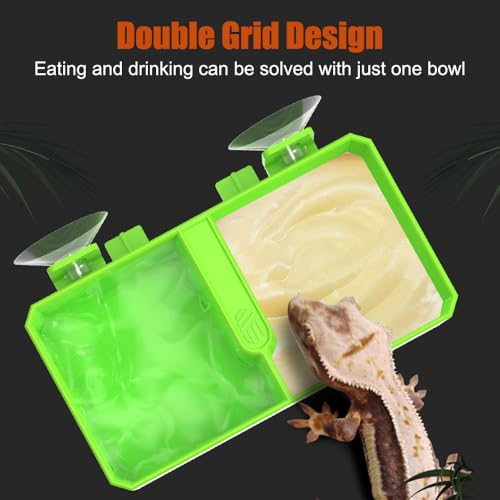 DONGKER Reptile Feeding Ledge,Square Dual-Compartment Reptile Water Food Bowl with 2 Suction Cup for Bearded Dragon Lizard Turtle Tortoise - size: L 5.5"x3.3"x1.4"