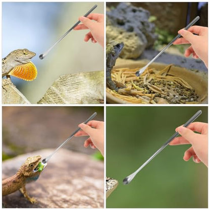 Housoutil 3pcs Lizard Feeding Spoons Handle Pet Food Tools for Bearded Dragon Reptiles Easy to Use Feeding Utensils - color: As Shown