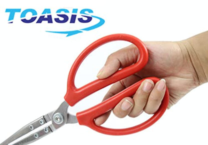 Toasis Stainless Steel Crabbing Tongs for Live Crabs Eels (Curved Tip) - style: Curved Tip