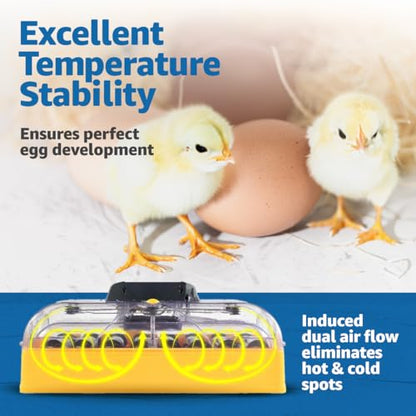 Brinsea Ovation 28 EX Incubator for Hatching Eggs with Automatic Humidity Control - Fully Automatic Chicken Egg Incubator with Digital Display - Holds Quail Duck and Turkey - style: Without Book
