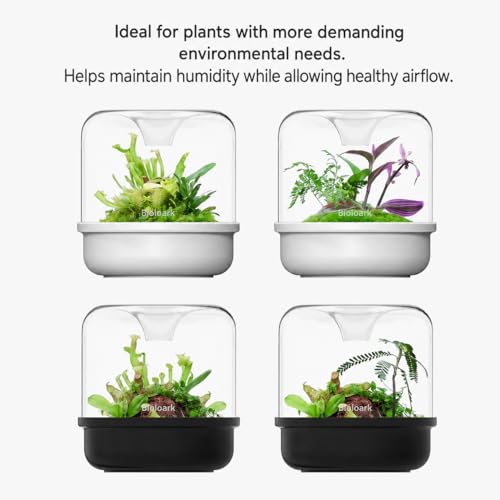 Bioloark MY-150K Glass Plant Terrarium with Ceramic Base, 6.4” x 6.7” White, Moss Terrarium Container with Clear Glass Cover, Ventilation Holes, Moisture Cycle Lid for Ferns, Succulents & Small Plants - color: MY-150K (6.4 "X6.7")White
