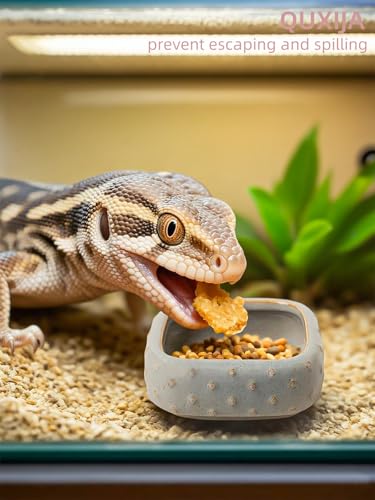 2 Pcs Ceramic Reptile Food Bowl, Mini Reptile Feeder, Anti Escape Feeder for Lizard, Anoles, Chameleon, Bearded Dragon, Gecko, Square (Farmhouse Grey) - color: Farmhouse Grey