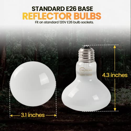 CALPALMY (4-Pack 100W Reptile Heat Lamp Bulbs - UVA Daylight Basking Light Bulbs for Reptiles, Turtles, Lizard, Bearded Dragon and Amphibians - 120V R80 Reflector Bulbs with E26 Screw Cap Base
