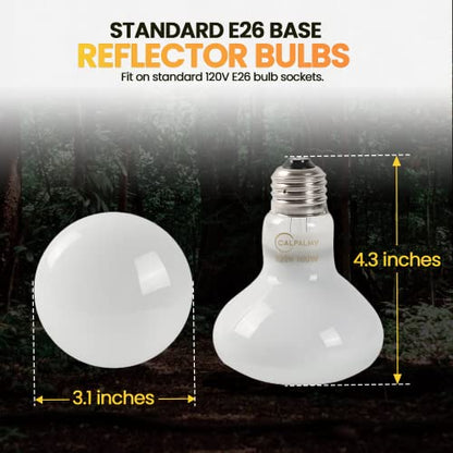 CALPALMY (4-Pack 100W Reptile Heat Lamp Bulbs - UVA Daylight Basking Light Bulbs for Reptiles, Turtles, Lizard, Bearded Dragon and Amphibians - 120V R80 Reflector Bulbs with E26 Screw Cap Base