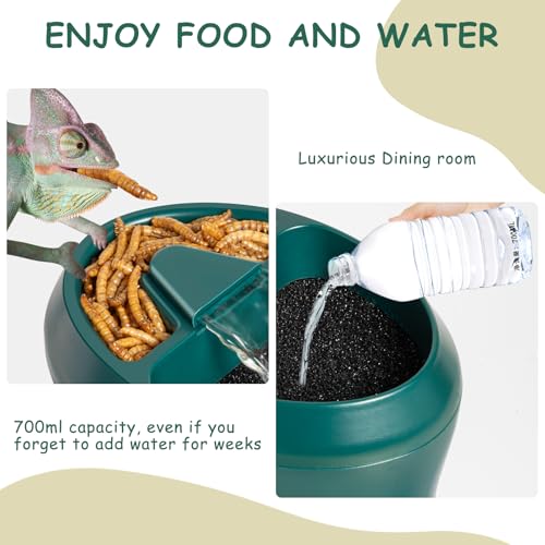 Reptile Water Drinking Fountain, Automatic Circulation, Low Noise, Energy Saving, Feeding Trough Included, Waterfall Design, Adjustable