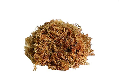 Peruvian Moss: Organic Sphagnum Moss for Orchids, Succulents, Indoor Plants & Reptile Substrate - 1 Kilo