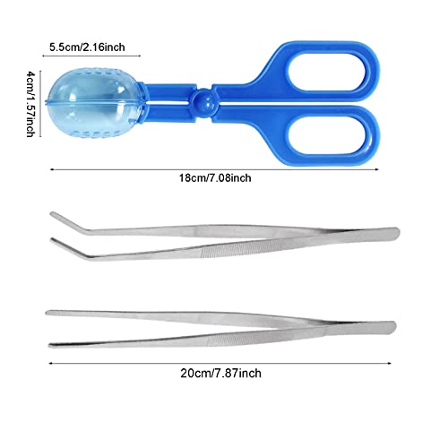 3in1 Feeding Tool Reptile Feeding Tongs Cricket Clamp Bug Scooper, Cleaning Supplies Scooper+ 2X Tweezers for Reptile, Hedgehog, Hamsters, Guinea Pig,Lizard, Spider Bearded Dragon (Blue) - color: Blue