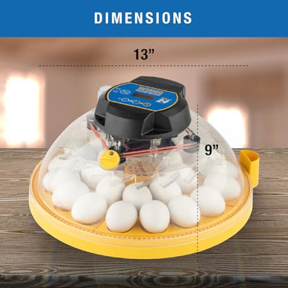 Brinsea Maxi 24 Advance Egg Incubator with Automatic Egg Turning and Temperature Control for Hatching 24 Chicken, Duck, or Other Eggs,- Optimal Flexibility with Mix & Match Sizes - size: 24 Eggs