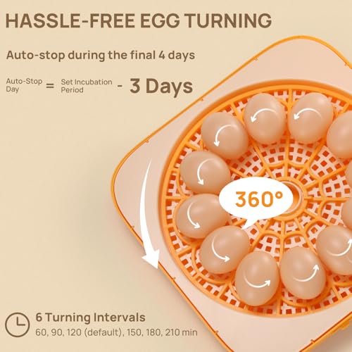 TURBRO Incubator for Hatching Eggs, Automatic Turning, Temperature & Humidity Control, Built-in Candler, 60° Viewing, 12 Egg Incubators for Chicken, Duck, Quail, Turkey, Goose, Parrot, Bird
