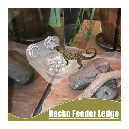 Magnetic Reptile Feeding Ledge Suction Cup Food Tray Gecko Reptile Feeding Station for Lizards Chameleons Terrarium Bowls(A) - color: A