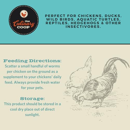 Fluker's Culinary Coop Premium Chicken Treats, Dried Insect Trail Mix, 10 oz