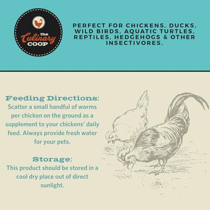 Fluker's Culinary Coop Premium Chicken Treats, Dried Insect Trail Mix, 10 oz