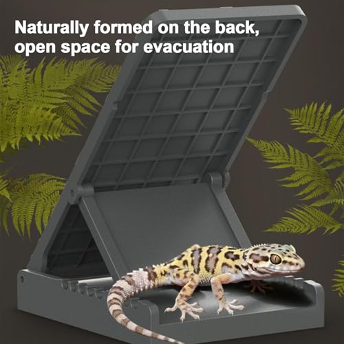 Reptile Basking Ramp | Bearded Dragons Climbing Step Ramp | Height Adjustable Lizard Resting Area for Terrarium Vivarium Tank Enclosure Chameleons Tortoise Frogs Newts Pet Enthusiasts Home Kitchen - color: Gray