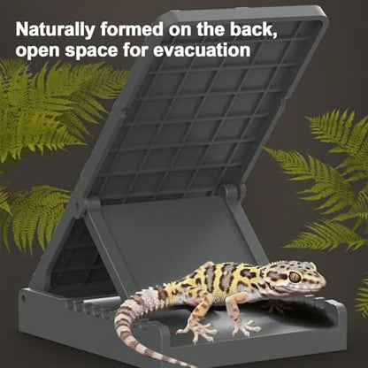Reptile Basking Ramp | Bearded Dragons Climbing Step Ramp | Height Adjustable Lizard Resting Area for Terrarium Vivarium Tank Enclosure Chameleons Tortoise Frogs Newts Pet Enthusiasts Home Kitchen - color: Gray