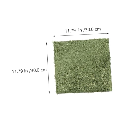 Toyvian 2Pcs Simulated Moss Carpets for Reptiles and Tortoises Moisturizing Fake Lawn Mats for Terrarium Natural-Looking Reptile Bedding for Humid Environments