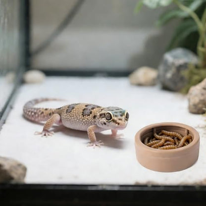 COMSUN 3 Pack Anti-Escape Reptile Food Dish Bowls, Plastic Worm Water Dish, Mealworm Feeder Cups for Small Gecko, Lizards, Bearded Dragon, Chameleon 2.83" W x 2.83" D x 0.98" H, 3 Colors